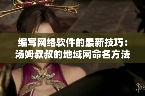 编写网络软件的最新技巧：汤姆叔叔的地域网命名方法！