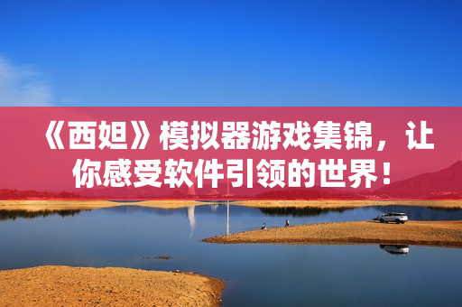 《西妲》模拟器游戏集锦，让你感受软件引领的世界！