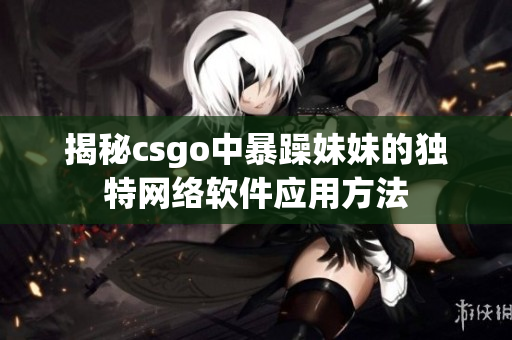 揭秘csgo中暴躁妹妹的独特网络软件应用方法