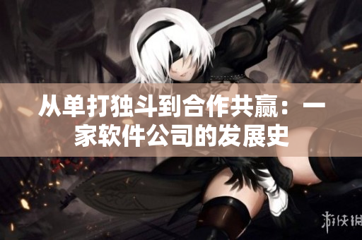 从单打独斗到合作共赢：一家软件公司的发展史