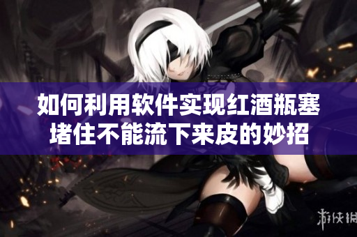如何利用软件实现红酒瓶塞堵住不能流下来皮的妙招