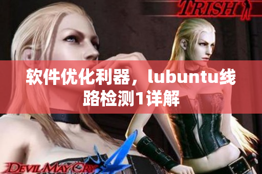 软件优化利器，lubuntu线路检测1详解