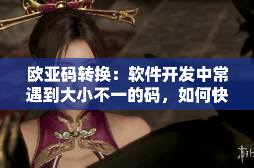 欧亚码转换：软件开发中常遇到大小不一的码，如何快速转换？