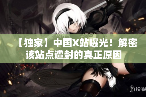 【独家】中国X站曝光！解密该站点遭封的真正原因