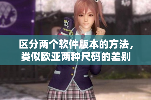 区分两个软件版本的方法，类似欧亚两种尺码的差别