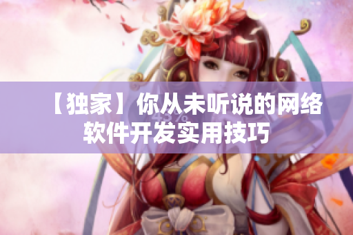 【独家】你从未听说的网络软件开发实用技巧