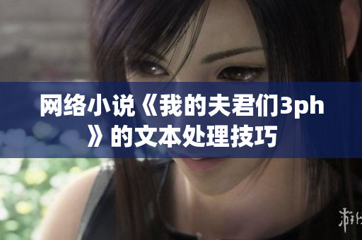 网络小说《我的夫君们3ph》的文本处理技巧