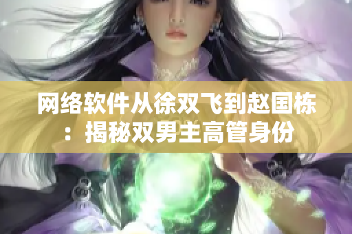 网络软件从徐双飞到赵国栋：揭秘双男主高管身份