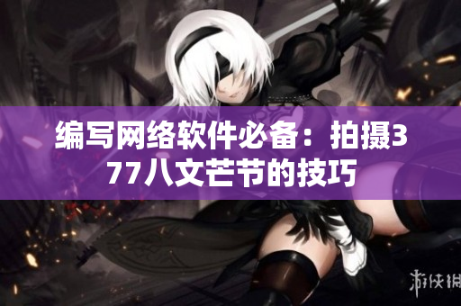 编写网络软件必备：拍摄377八文芒节的技巧