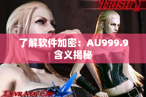 了解软件加密：AU999.9含义揭秘