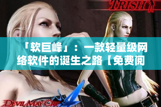 「软巨峰」：一款轻量级网络软件的诞生之路【免费阅读】