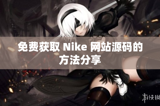 免费获取 Nike 网站源码的方法分享