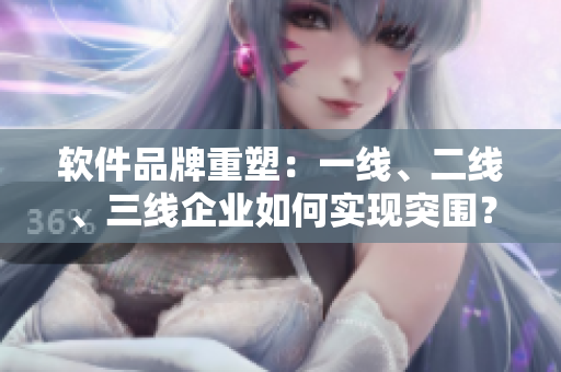 软件品牌重塑：一线、二线、三线企业如何实现突围？