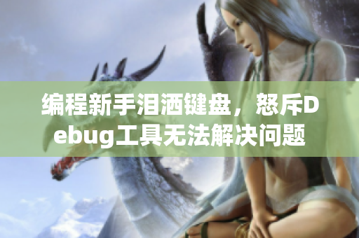 编程新手泪洒键盘，怒斥Debug工具无法解决问题