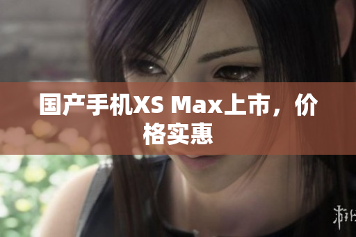 国产手机XS Max上市，价格实惠
