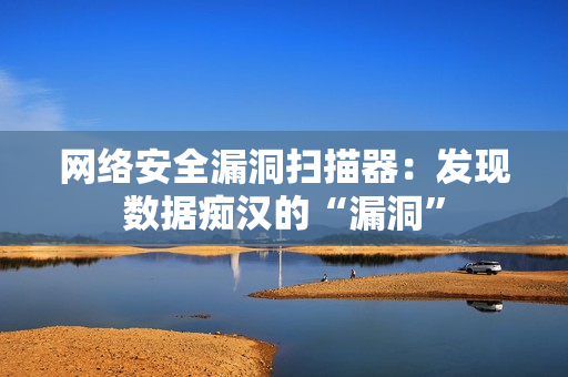 网络安全漏洞扫描器：发现数据痴汉的“漏洞”