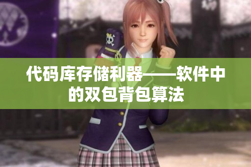 代码库存储利器——软件中的双包背包算法