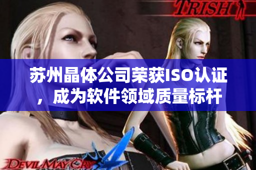苏州晶体公司荣获ISO认证，成为软件领域质量标杆