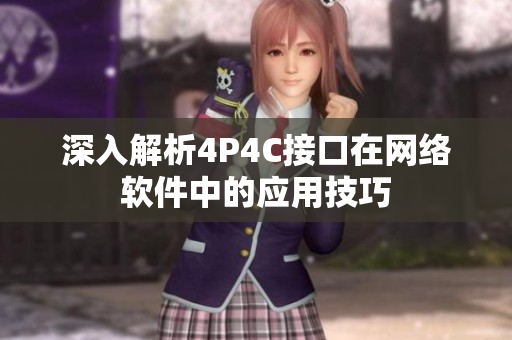 深入解析4P4C接口在网络软件中的应用技巧