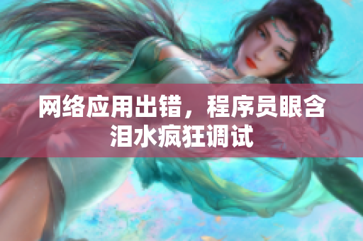 网络应用出错，程序员眼含泪水疯狂调试