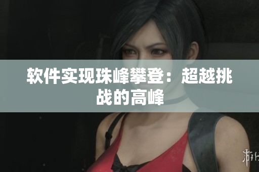 软件实现珠峰攀登：超越挑战的高峰