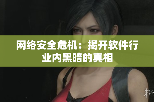网络安全危机：揭开软件行业内黑暗的真相