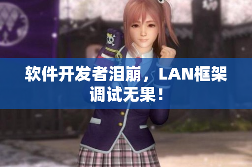 软件开发者泪崩，LAN框架调试无果！