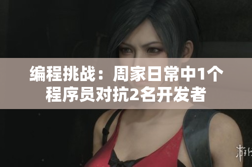 编程挑战：周家日常中1个程序员对抗2名开发者