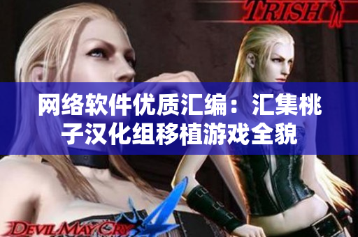 网络软件优质汇编：汇集桃子汉化组移植游戏全貌