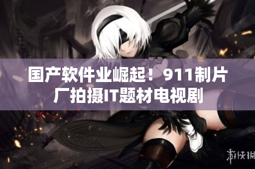 国产软件业崛起！911制片厂拍摄IT题材电视剧