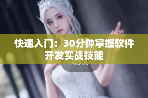 快速入门：30分钟掌握软件开发实战技能