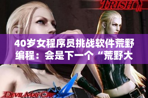 40岁女程序员挑战软件荒野编程：会是下一个“荒野大镖客”吗？