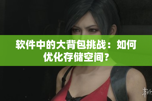 软件中的大背包挑战：如何优化存储空间？