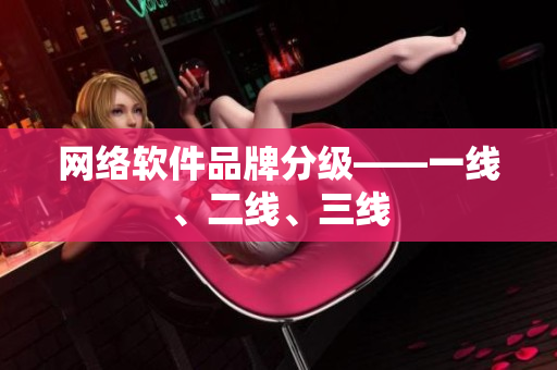 网络软件品牌分级——一线、二线、三线