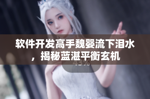 软件开发高手魏婴流下泪水，揭秘蓝湛平衡玄机