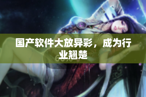 国产软件大放异彩，成为行业翘楚
