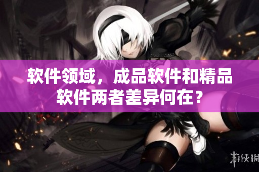 软件领域，成品软件和精品软件两者差异何在？