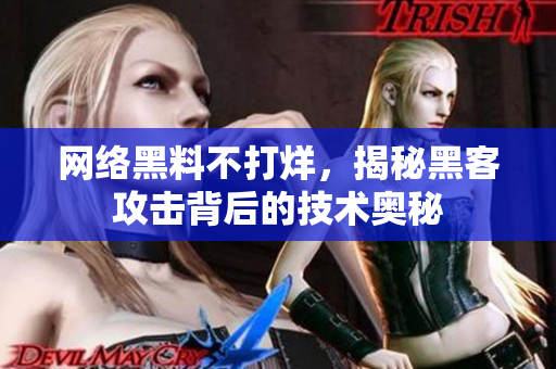 网络黑料不打烊，揭秘黑客攻击背后的技术奥秘