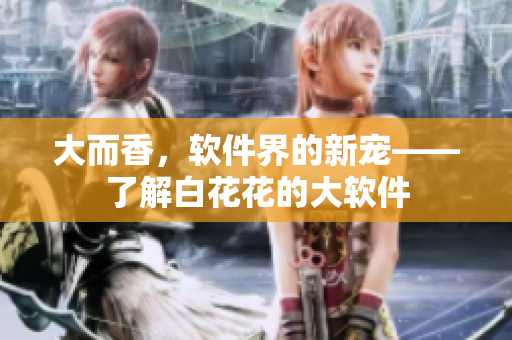 大而香，软件界的新宠——了解白花花的大软件