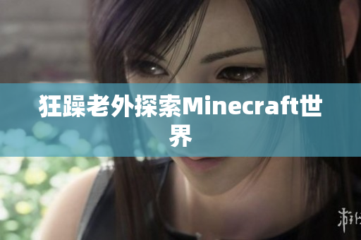 狂躁老外探索Minecraft世界