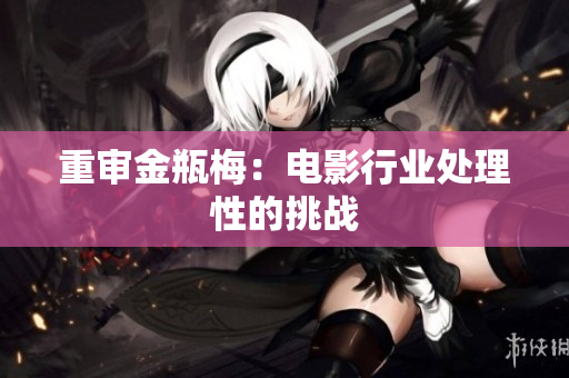 重审金瓶梅：电影行业处理性的挑战