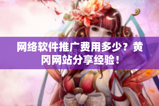 网络软件推广费用多少？黄冈网站分享经验！