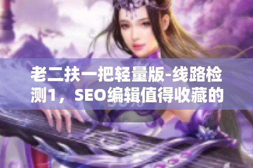 老二扶一把轻量版-线路检测1，SEO编辑值得收藏的实用工具！