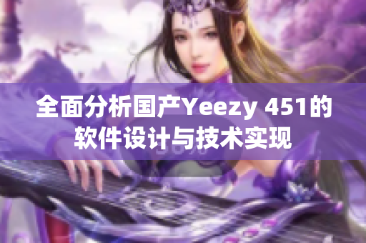 全面分析国产Yeezy 451的软件设计与技术实现
