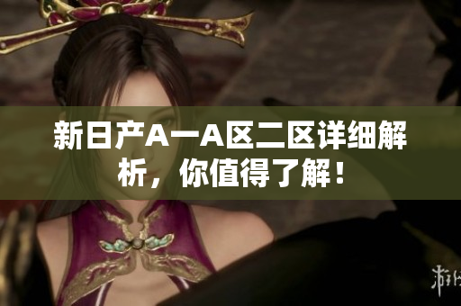 新日产A一A区二区详细解析，你值得了解！
