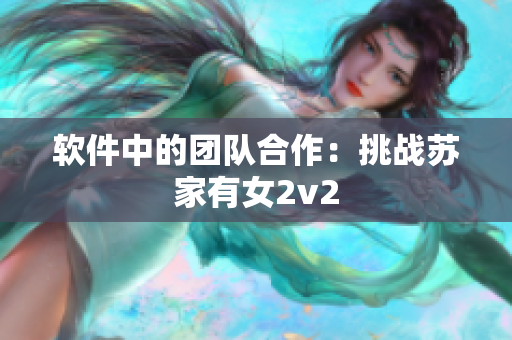软件中的团队合作：挑战苏家有女2v2