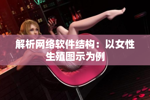 解析网络软件结构：以女性生殖图示为例