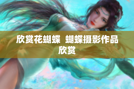 欣赏花蝴蝶  蝴蝶摄影作品欣赏