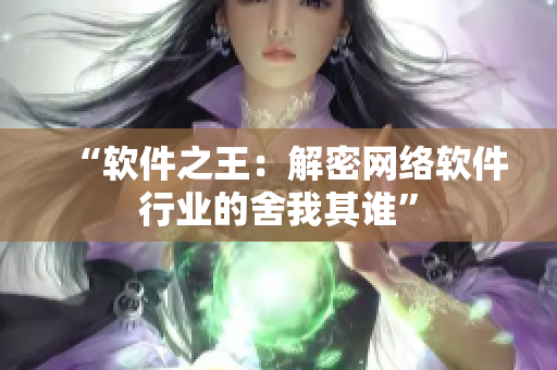 “软件之王：解密网络软件行业的舍我其谁”