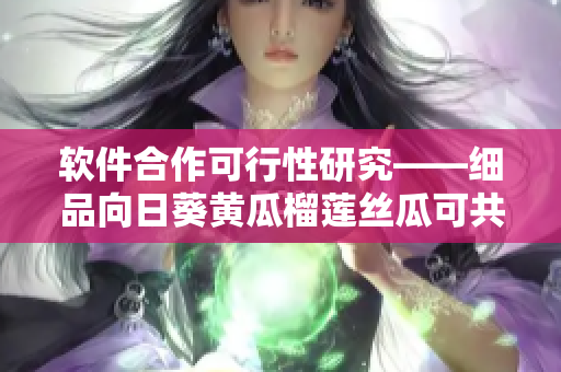 软件合作可行性研究——细品向日葵黄瓜榴莲丝瓜可共存之道